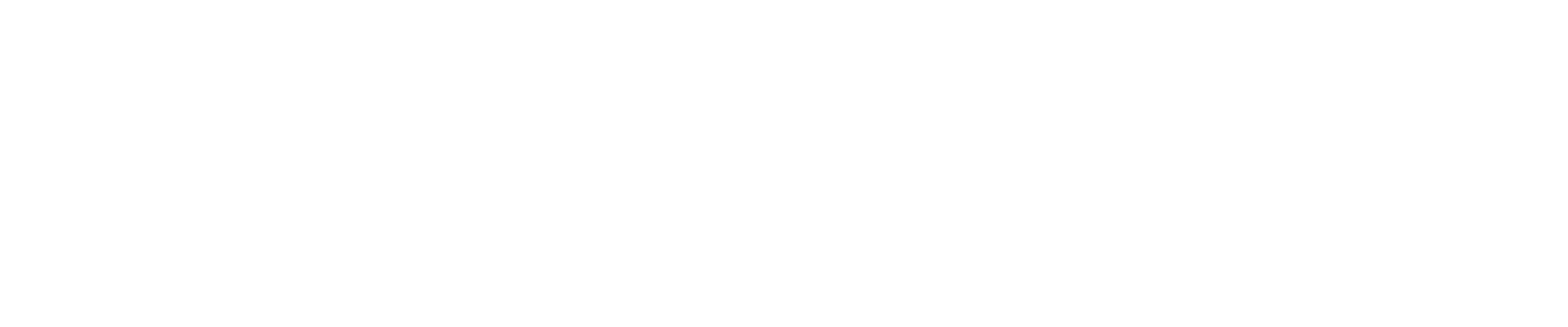 BlindSight